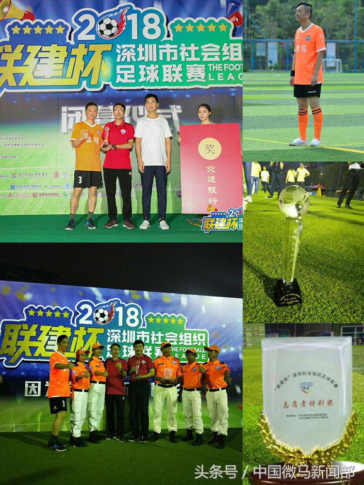 艳橙之花绽放绿茵