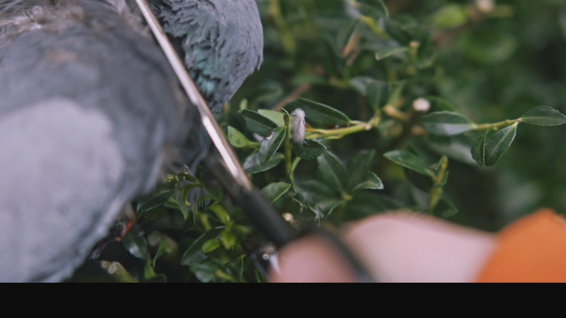 外婆死后，家里出了怪事：欧美电影无尿点系列