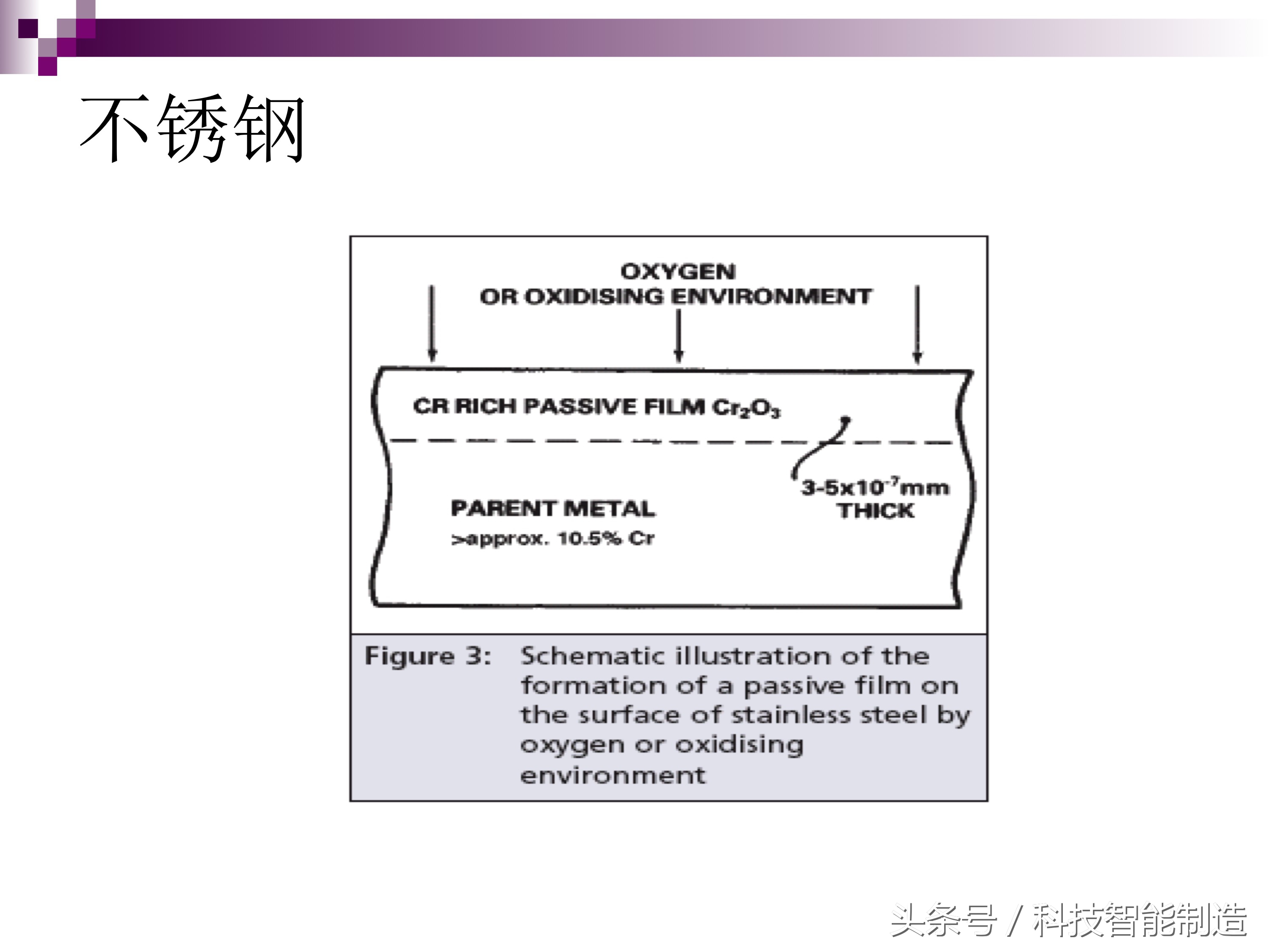 不锈钢腐蚀的主要原因是什么元素,不锈钢腐蚀真实案例