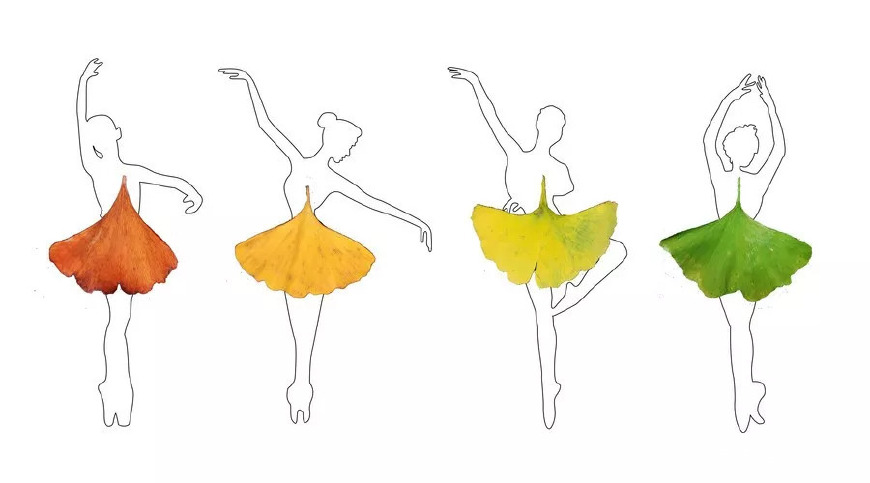 名医谈艾灸排病反应,艾灸老师讲解