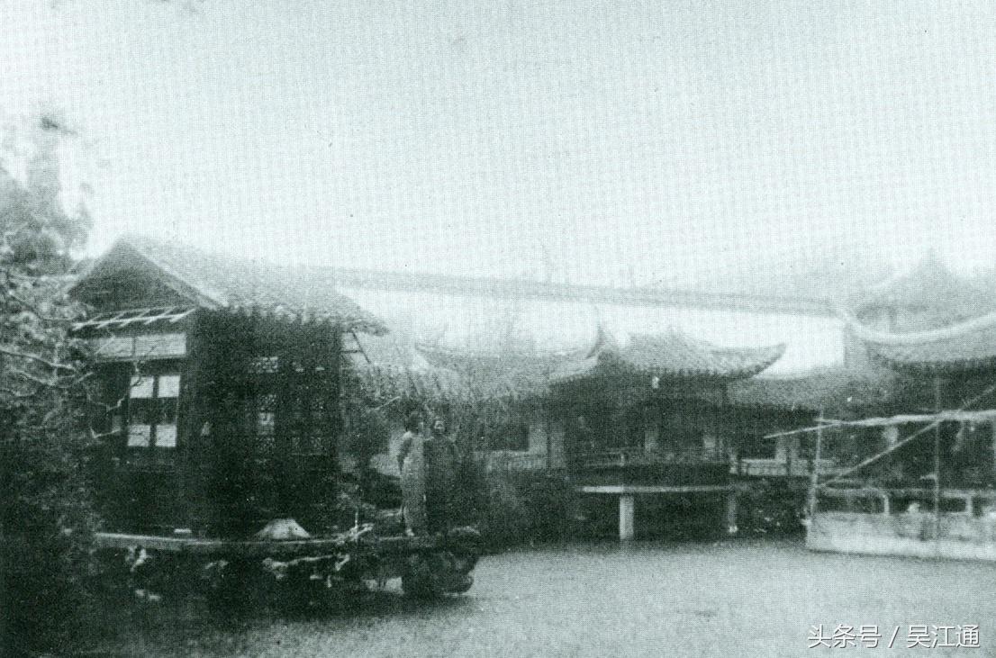 我的小学在线免费观看,我的小学在线播放