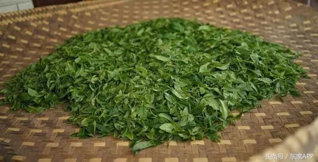 喝茶容易醉是什么原因,喝茶出现茶醉该如何去缓解呢