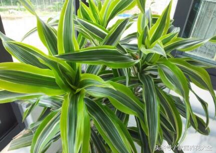 对抗秋冬干燥学会这4招,对抗秋燥