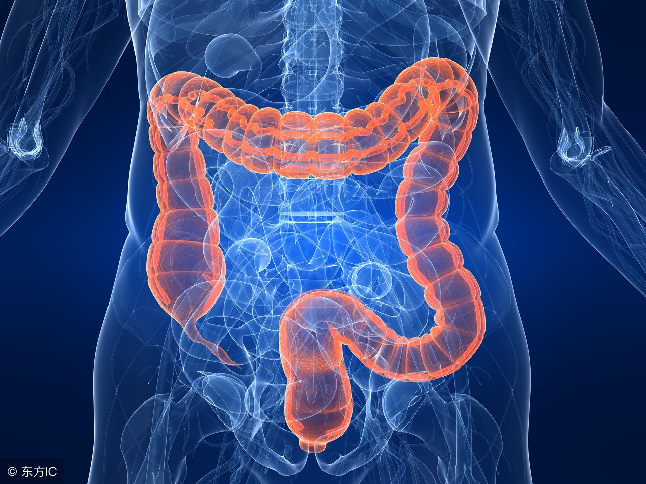 增加肠动力助消化办法,增加肠胃动力的食物