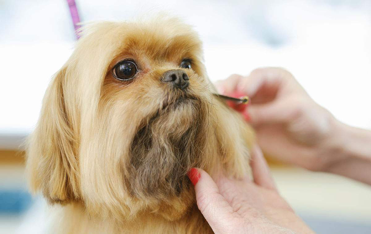 最适合现在的小本创业,2022小本创业项目排行榜前十名