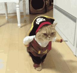 学生党彩妆平价全套多少钱,学生党平价化妆包高级感