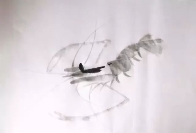 简单方法画虾,怎样画虾教学视频