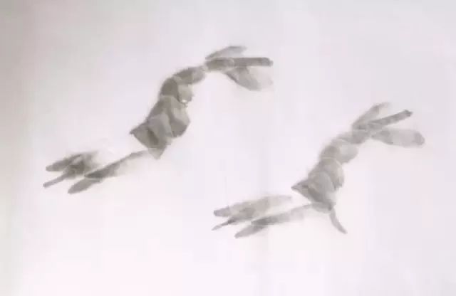 简单的画虾教程儿童,最简单的画虾的方法