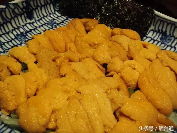 烟台开海现场直播视频,开海现场视频直播