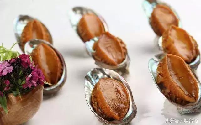 烟台开海现场直播视频,开海现场视频直播