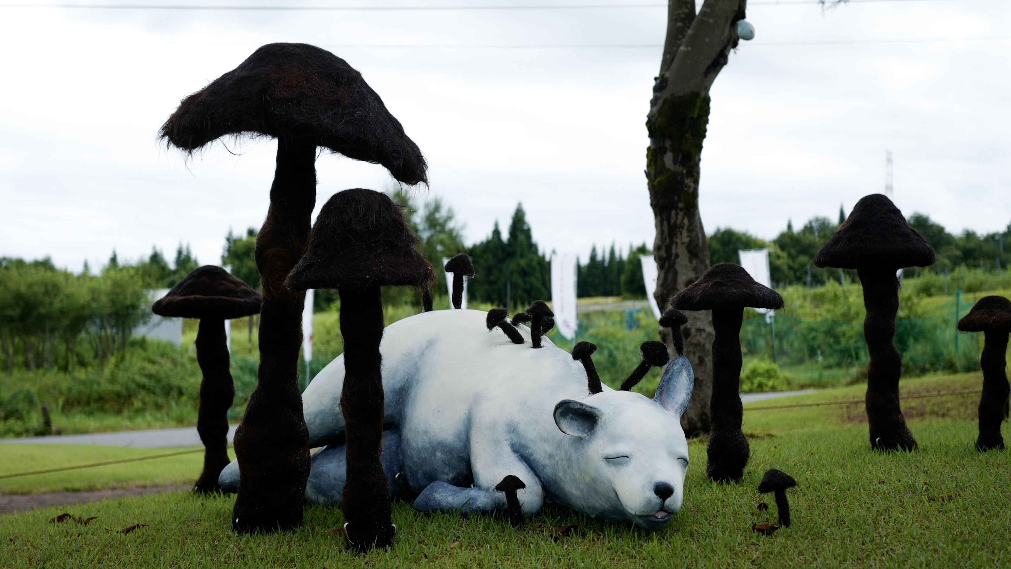 日本赴中国旅游,越后妻举办大地艺术祭的旅游价值