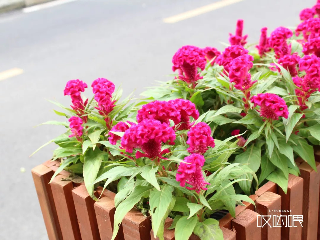 鍗楀畞闈掔骞胯タ鑹烘湳瀛﹂櫌,骞胯タ鑹烘湳瀛﹂櫌闈掔