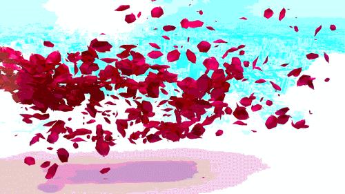 所有姐妹们，“中国妇女十二大”专题来了！关注起来！