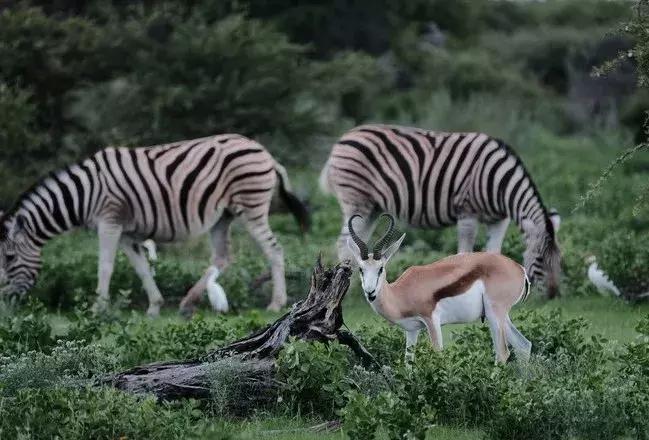五分钟认识英国,五分钟认识奔驰