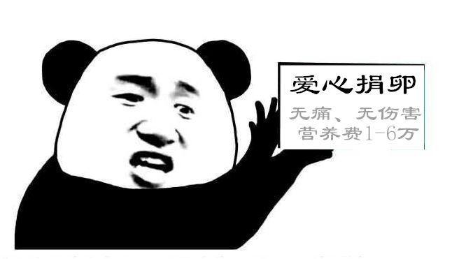 「供卵」真的同「捐精」一样，soeasy吗？