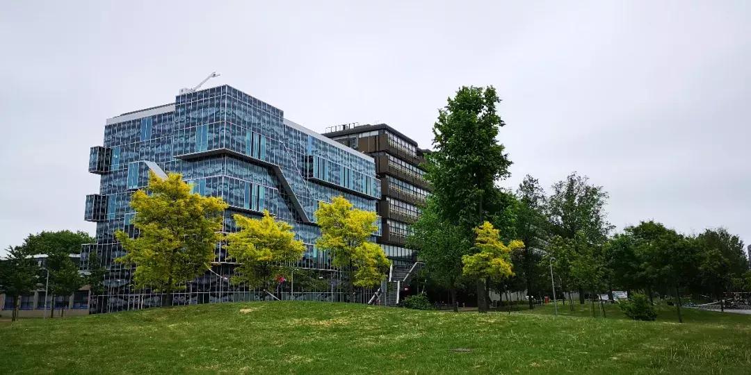 荷兰自由行旅游攻略大全,荷兰自由行三日游攻略