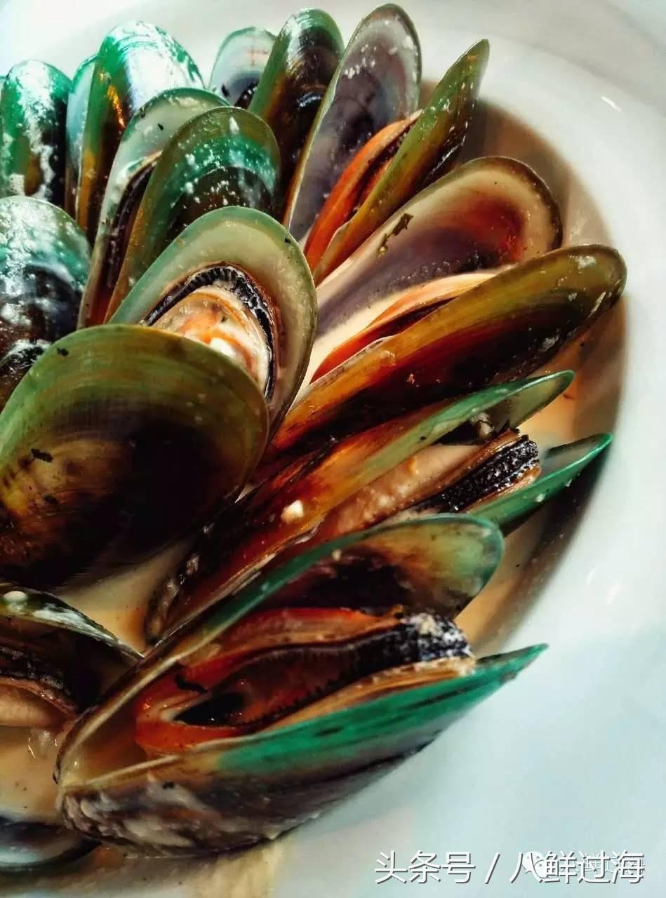 新西兰海边青口贝,新西兰赶海吃青口贝