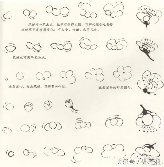 梅花花朵的国画画法视频,大写意梅花枝干国画画法