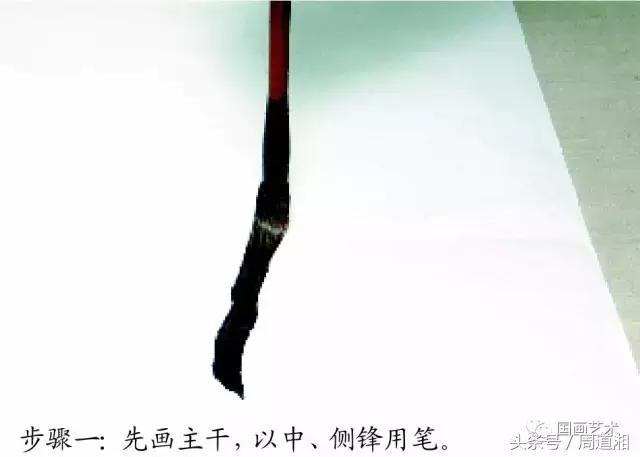 梅花花朵的国画画法视频,大写意梅花枝干国画画法