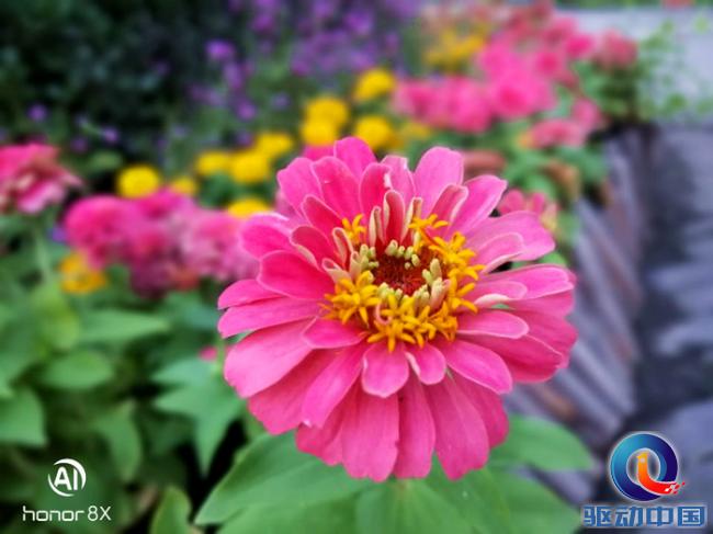 荣耀8x二手机值得买吗,荣耀8x手机全方面性能测试