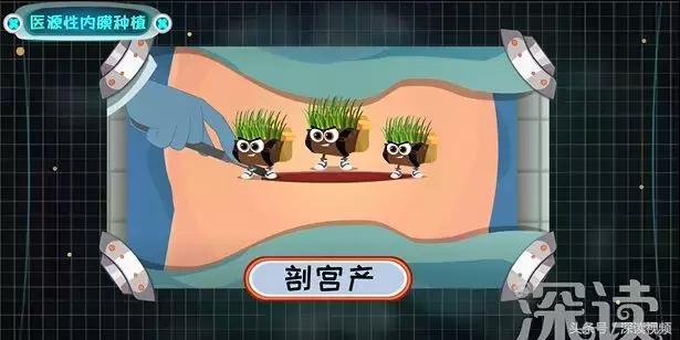 痛经，不孕竟是自己作出来的病，最萌“大姨妈”首秀，笑出猪叫声