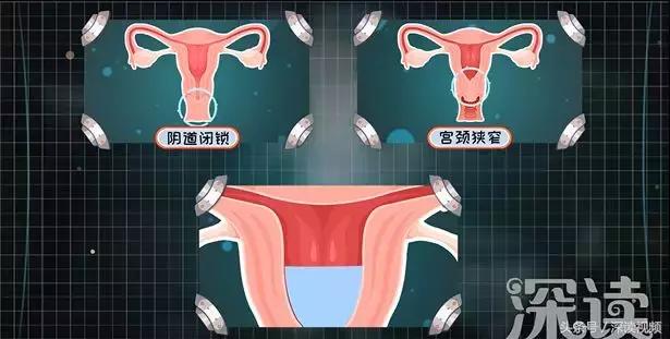 旋转跳跃根本停不下来,旋转跳跃舞不停歇