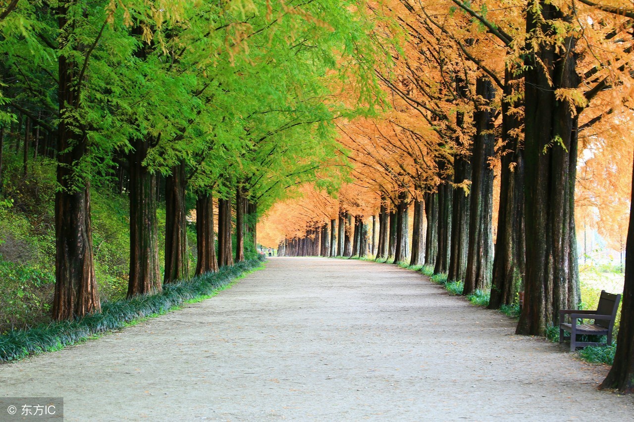 好的排毒胶囊,最好的排毒养颜药品