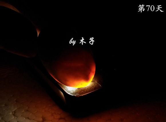 草龟繁殖经验分享孵蛋40天破壳,草龟养殖日记从幼苗开始