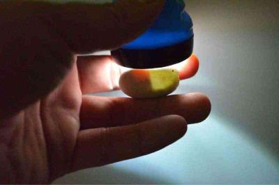 草龟繁殖经验分享孵蛋40天破壳,草龟养殖日记从幼苗开始