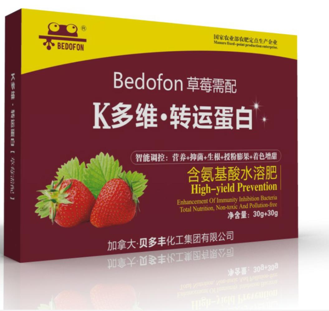 用了K多维转运蛋白，草莓商品性高，丰产又丰收