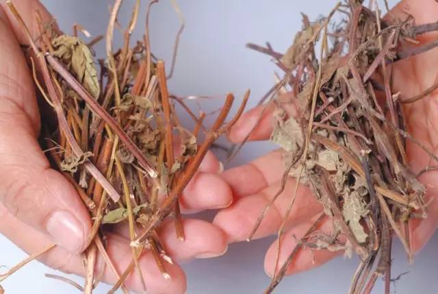 北方凉粉与南方凉粉,南方的凉粉和北方的凉粉不同