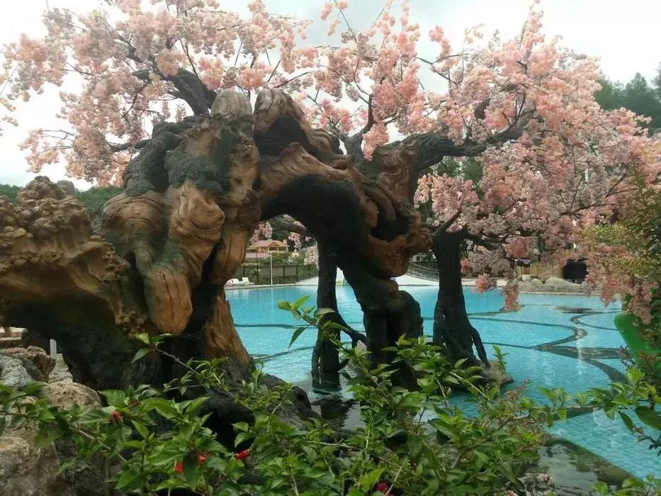 长春市温泉热门推荐,长春附近温泉哪家最好