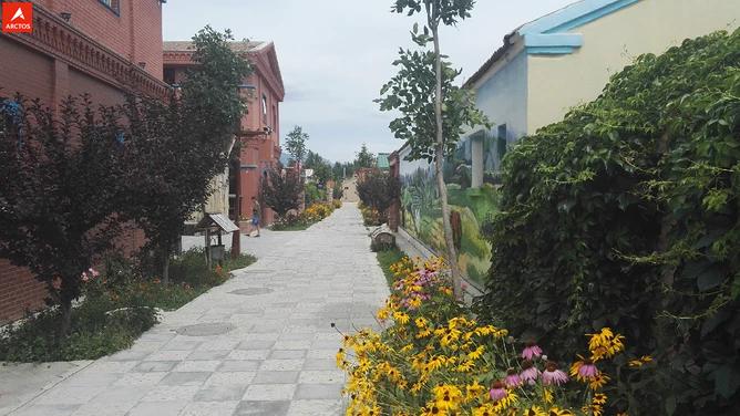 一次偶然，铸就永恒，十年驴龄的他“长存”于此-乌孙驴行记