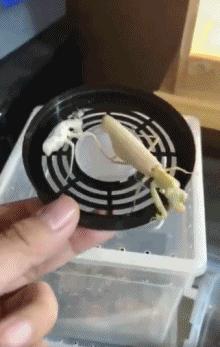 钓鱼窝料搭配及配方大全,钓鱼窝料最佳配方大全