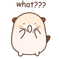 漳州有种小小的黑色虫子咬人很痒,福建漳州虫子