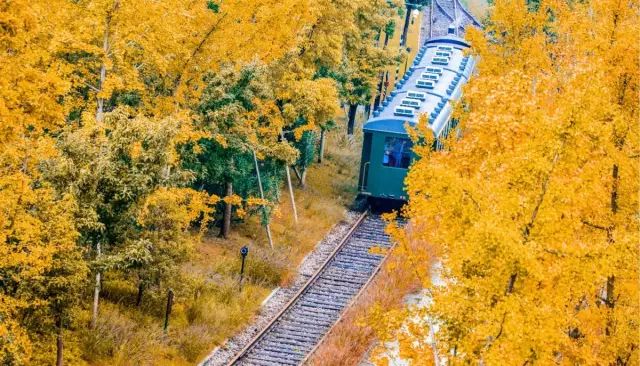 这些绝美小黄片,已经陆续在全国上线,找个时间去扫黄吧