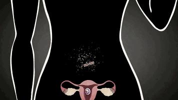 堕胎是杀人吗,堕胎就是杀生