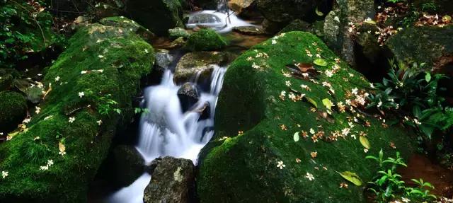 不花一分钱去旅游,江浙三日游旅游最佳景点推荐