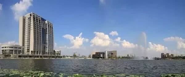 下一个浦东新区是哪里,重磅消息下浦东楼盘会暴涨吗