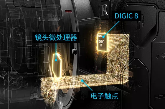 佳能eosr6是个什么档次的相机,佳能eosr缺点