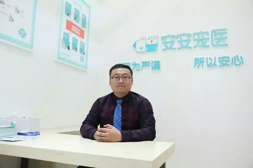 三年开到260余家宠物连锁医院，安安宠医这一年经历了什么？