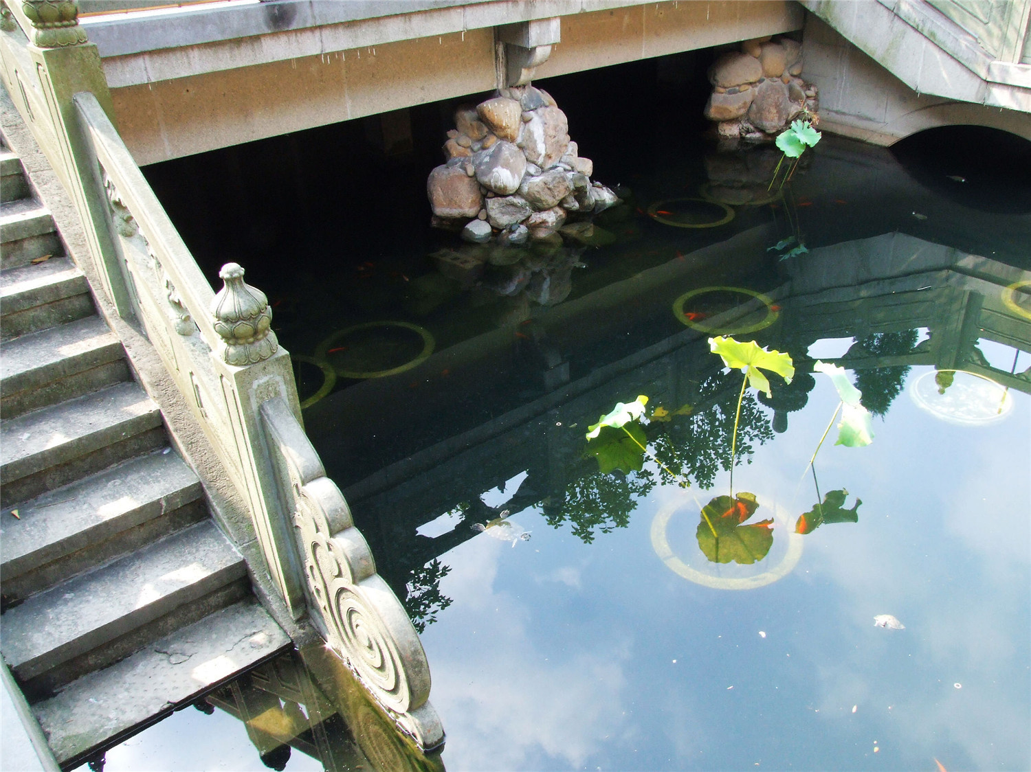 杭州西湖领略西湖之美,杭州西湖美景打卡