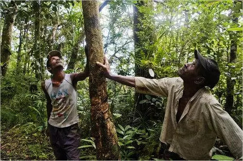 “床事”知多少？