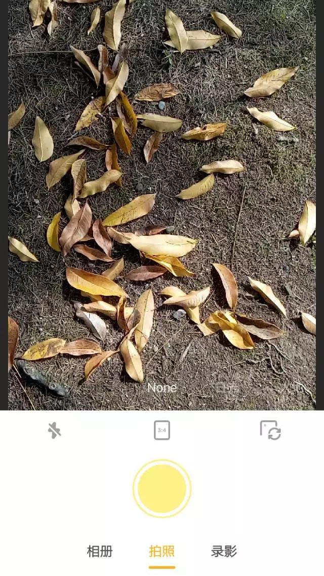 黄油相机多图教程,怎样使用黄油相机制作图片视频