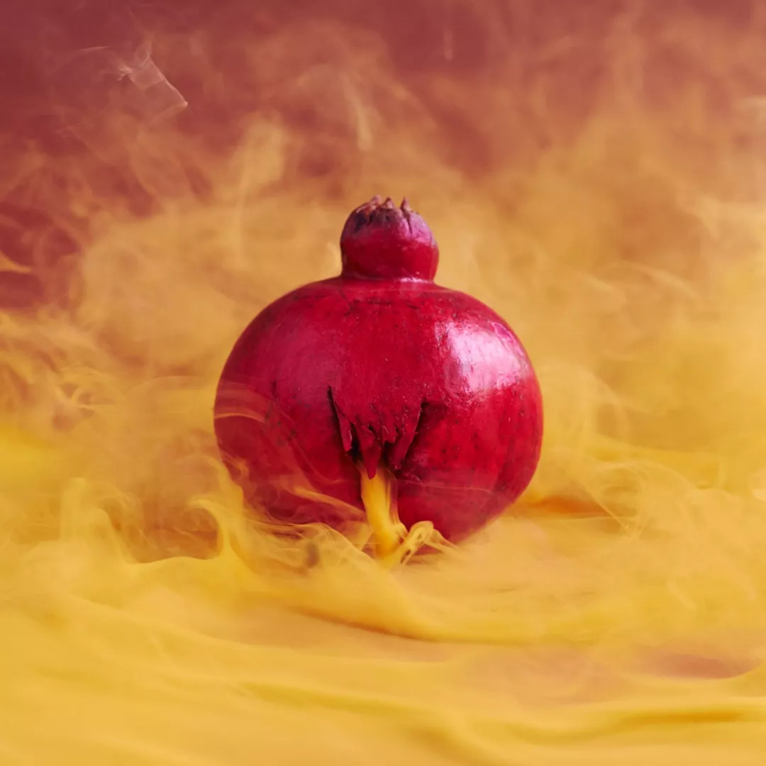 艺术家笔下的蔬菜,艺术家眼中的树