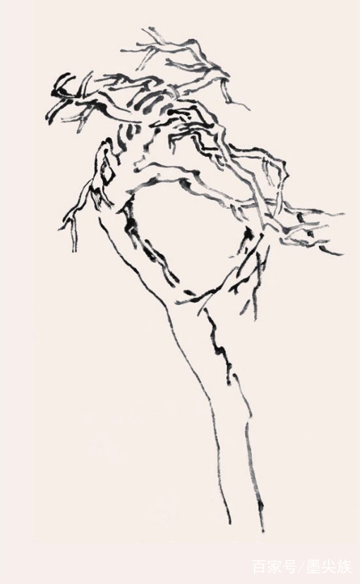 工笔松树简单画法步骤,松树的画法和技巧视频