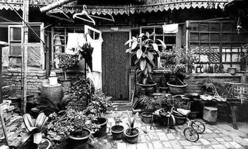 毛大庆双城记,毛大庆讲述苦日子