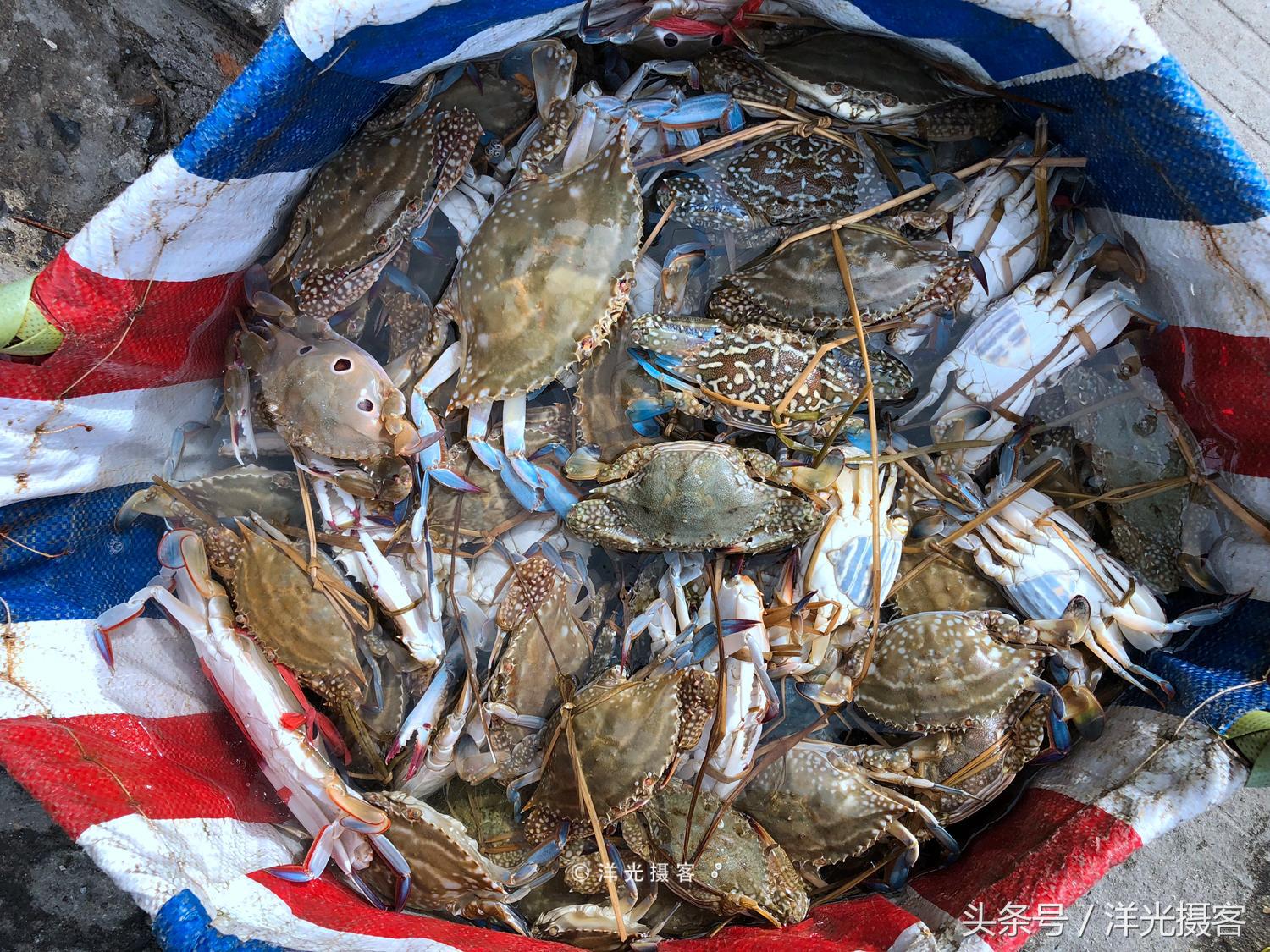 北海现磨珍珠粉一斤大约多少钱,北海老街的珍珠粉是真的吗