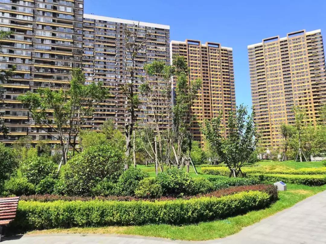 华润威海湾九里特价房,华润威海湾九里怎么样