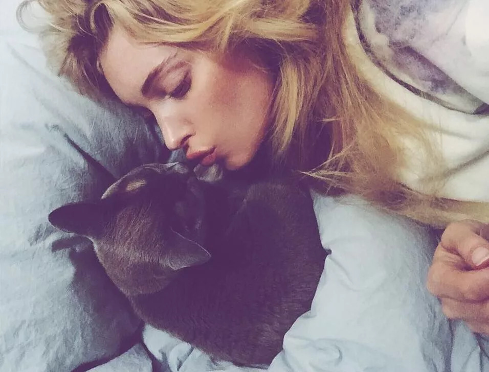 维密超模猫咪,维密秀猫咪